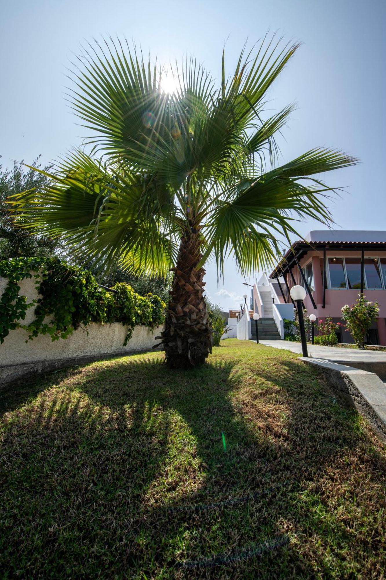 Villa Eleni 100M From The Sea Rapaniana Ngoại thất bức ảnh
